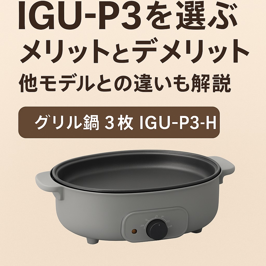 IGU-P3を選ぶメリットとデメリット｜他モデルとの違いも解説